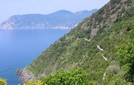 Wanderpfad zwischen Vernazza und Corniglia